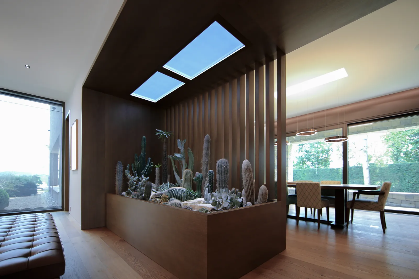 Cactus : vue d'ensemble