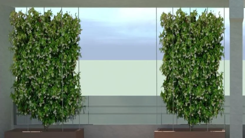 Le rendu 3D d'un balcon : deux jardinières de jasmins grimpants sur câbles